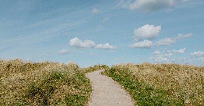 EMDR and the Power to Transform  image